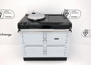 Pearl Ashes Aga er3 100i